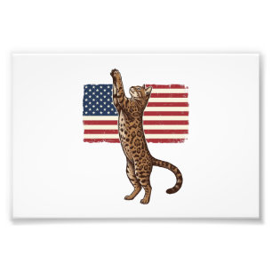 Patriottische Kat Amerikaanse Vlag Vintage Vector Foto Afdruk
