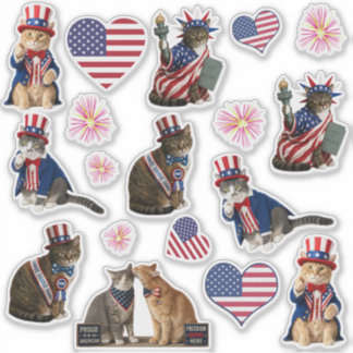 Patriottische kattenfoto-aanraakvinylstickers uit sticker