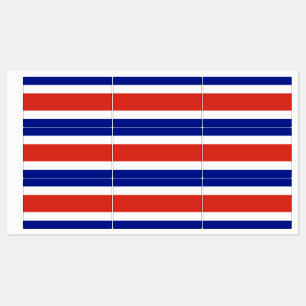 Patriottische labels met vlag van Costa Rica