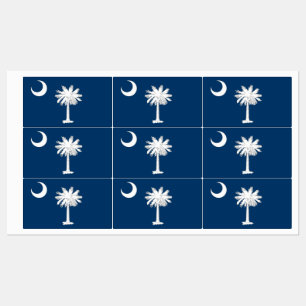 Patriottische labels met vlag van South Carolina S