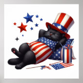 Patriottische Lazy Black Cat 4th van juli Poster (Voorkant)