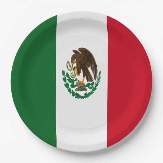 Patriottische Mexico vlag Papieren Bordje (Voorkant)