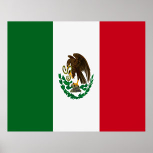 Patriottische Mexico vlag Poster