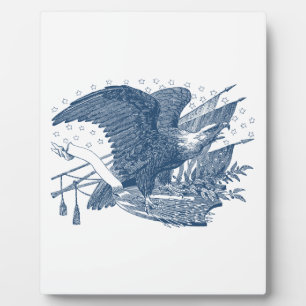 patriottische schilderende Eagle USA-vlagpijlen Fotoplaat