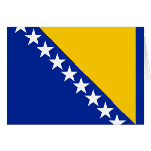 Patriottische vlag van Bosnië Herzegovina
