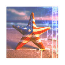 Patriottische zeester gestrand op het strand