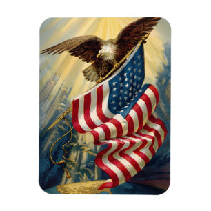 patriottisme, patriottische Eagle American Flag Magneet