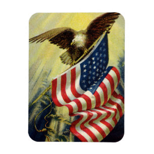 patriottisme, patriottische Eagle American Flag Magneet
