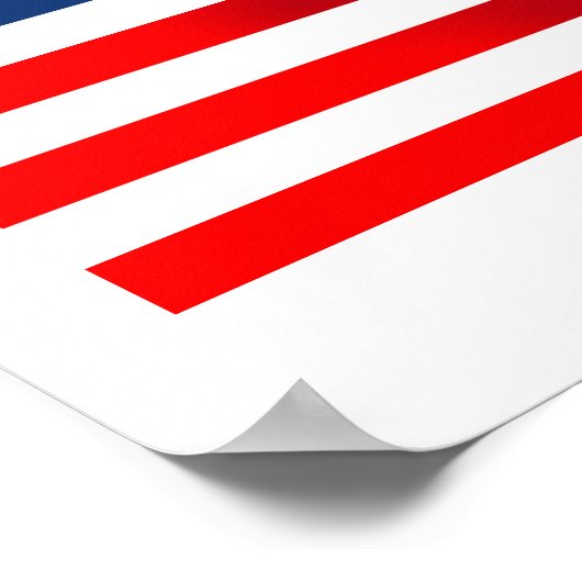 Patriottisme Poster (Hoek)