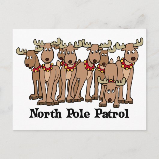 Patrol Noordpool Briefkaart (Voorkant)