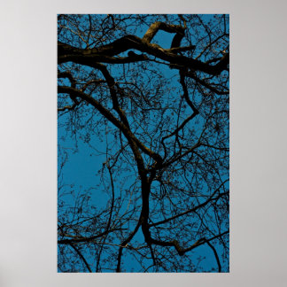 Patronen in de lucht poster