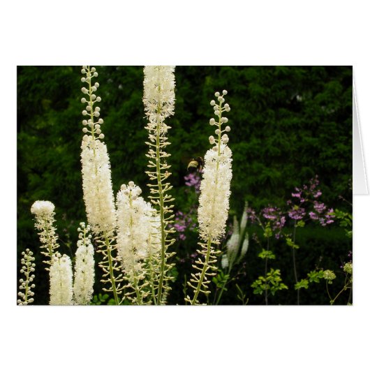 Patronen van Natuur (Voorkant Horizontaal)