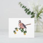 Patroon in een peerboom briefkaart (Staand voorkant)