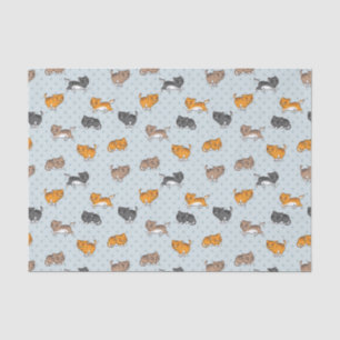 patroon met grappige katten tissuepapier