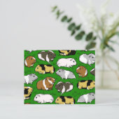 patroon van cavia's briefkaart (Staand voorkant)