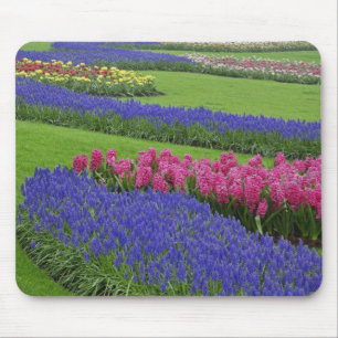 Patroon van de Hyacinth van de Grafiek, tulpen, en Muismat