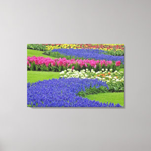 Patroon van Hyacinth- en Tulipbloemen in Keukenhof Canvas Afdruk