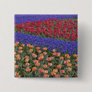 Patroon van tulpen en druif-hyacint bloemen, 3 vierkante button 5,1 cm