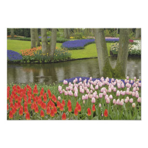 Patroon van tulpen en druifhyacint bloemen, foto afdruk