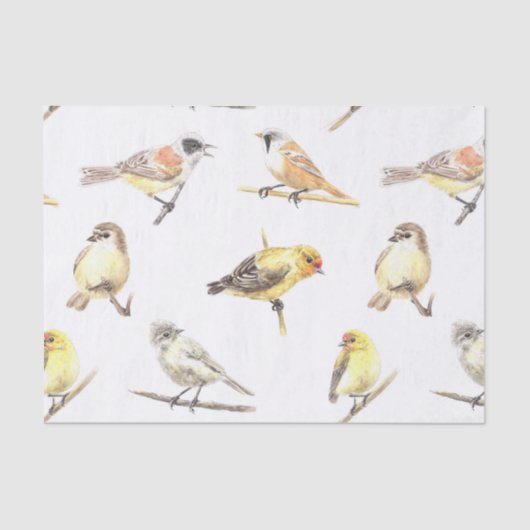 Patroon voor trekvogels tissuepapier (Voorkant)