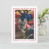 Patrouilles et baisers Funny Pet photo carte de va (Debout devant)