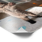 Patsy the bear foto afdruk (Hoek)