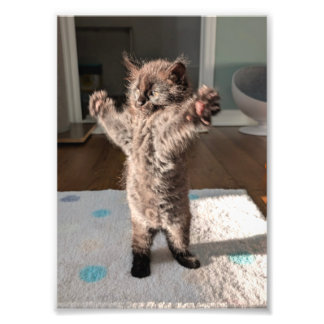 Patsy the bear foto afdruk