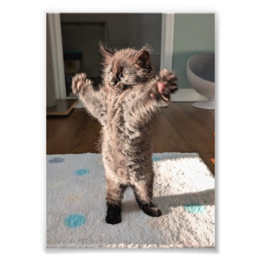 Patsy the bear foto afdruk (Voorkant)