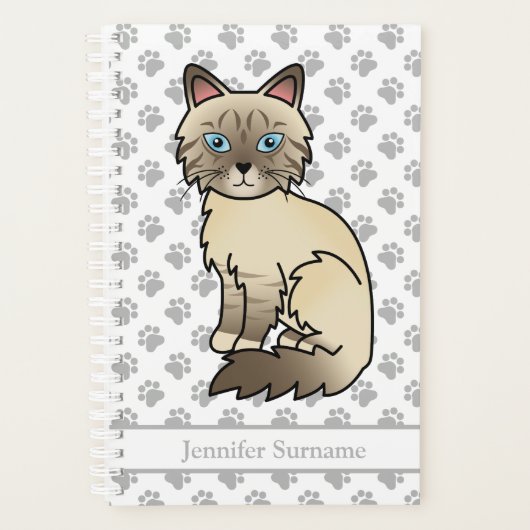 Patte de Chocolat Tabby Birman/Ragdoll Pattes & Te (Devant)