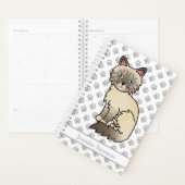 Patte de Chocolat Tabby Birman/Ragdoll Pattes & Te (Devant avec enveloppe)