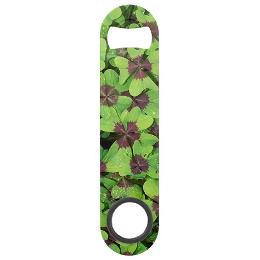 Patte de quatre feuilles de trèfle (Sorrel) après  (Devant)