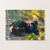 Patterdale Terrier. Legpuzzel (Horizontaal)