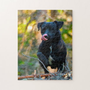 Patterdale Terrier. Legpuzzel