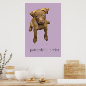 Patterdale Terrier Puppy Poster (Keuken)