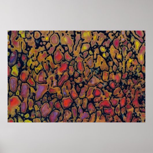 Patterned Dinosaur Bone Poster (Voorkant)