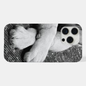 Pattes (Verso Horizontal)