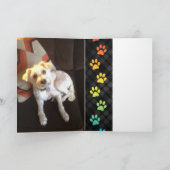 pattes arc-en-ciel carte de sympathie perte de ani (Intérieur)