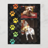 pattes arc-en-ciel carte de sympathie perte de ani (Dos)