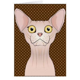 Pattes de bande dessinée de chat de Sphynx
