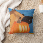 Pattes de chien et oreiller de citrouille (Couverture)