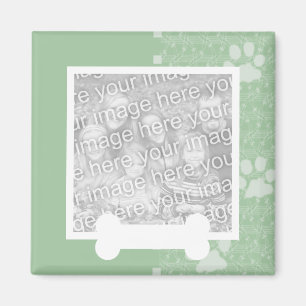 Pattes de ressort et magnet verts de photo