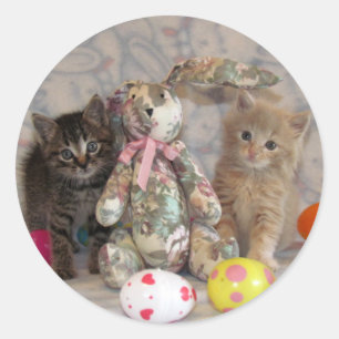 Patton et Buffington Chat / Stickers Kitten