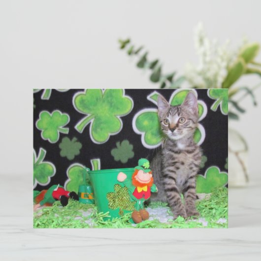 Patton's St. Patrick's Day Chat/ Kitten - Carte Pl (Debout devant)