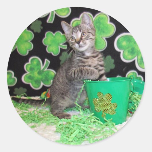 Patton's St. Patrick's Day Chat / Stickers Kitten (Devant)