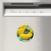 Pattypan Squash Magneet (Insitu (Vaatwasser))