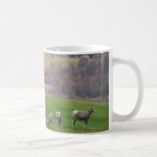Pâturage dans la tasse d'automne