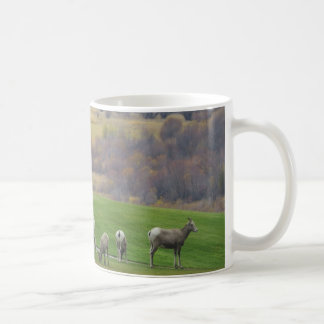 Pâturage dans la tasse d'automne