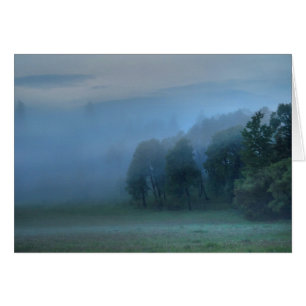 Pâturage de Dieu, Forêt Misty & Champ Nature Scène