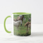 Pâturage de la tasse de chevaux (Gauche)