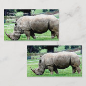 Pâturage des cartes de visite blancs de rhinocéros (Devant / Derrière)